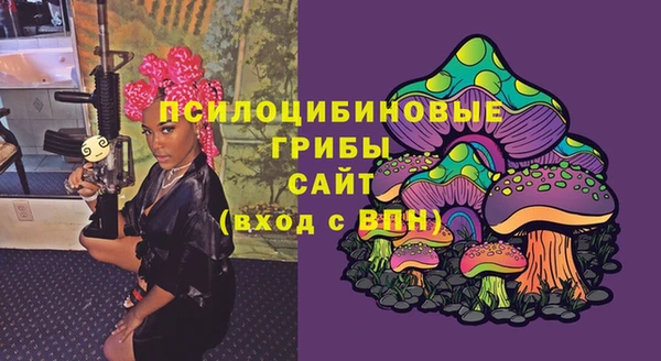 экстази Богданович